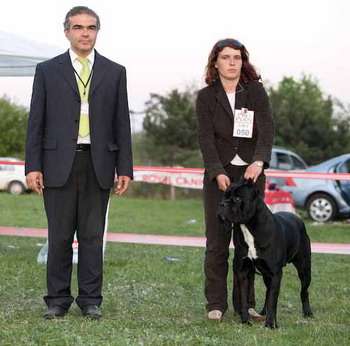 von Mordore - Craiova Dog Show 2007