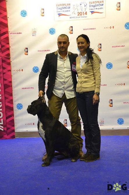 von Mordore - Euro DogShow Brno (Czech Republic)